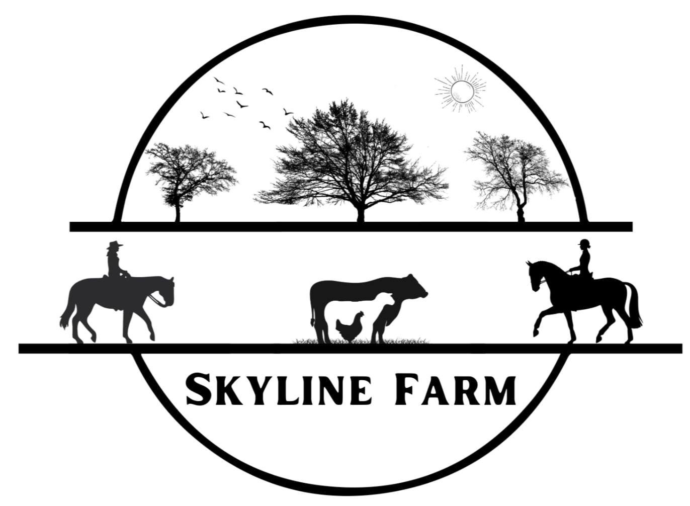 577073884_10164236416434664_7346222630102437418_n